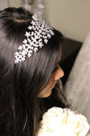 Hair Accessories And Jewellery?