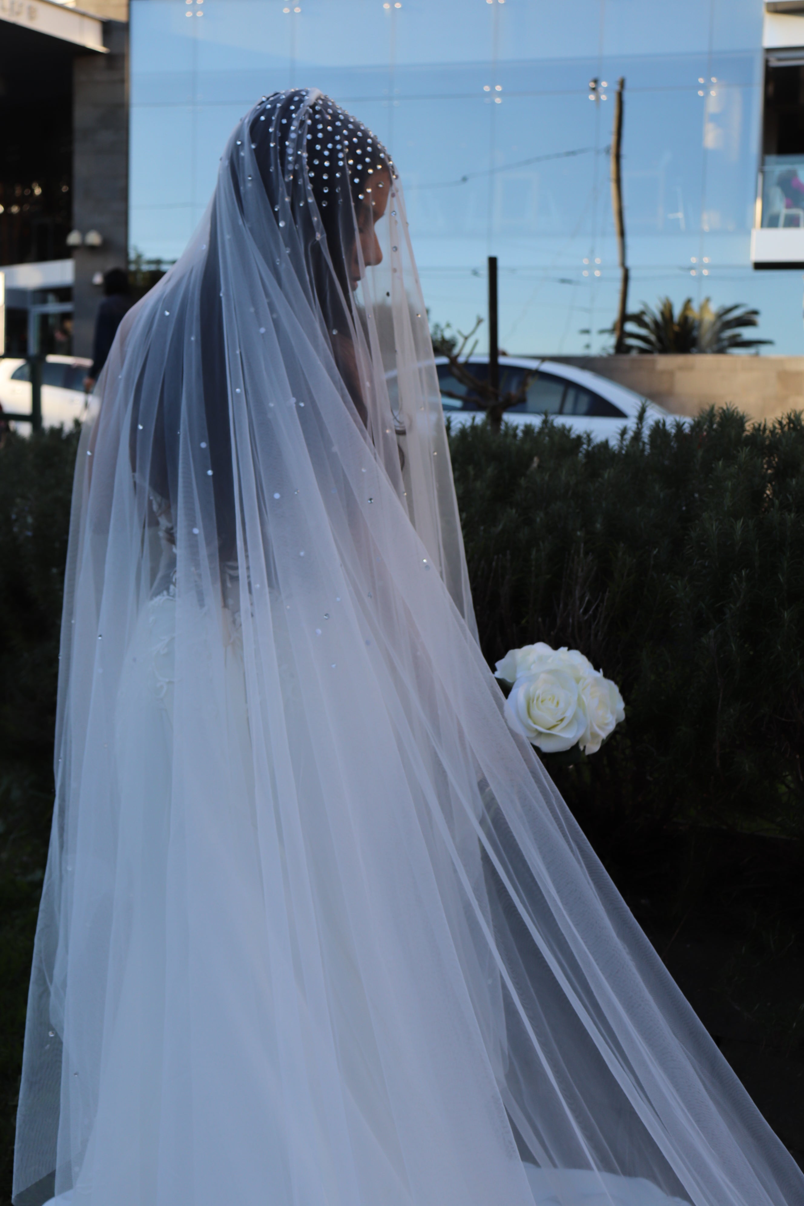 Swarovski Rhinestone Veil – Blanca Veils