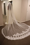 Rhinestone veil Sydney